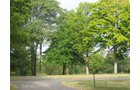 Property photo 11 - 80 Acres Offered in 4 Tracts - Horse Farm